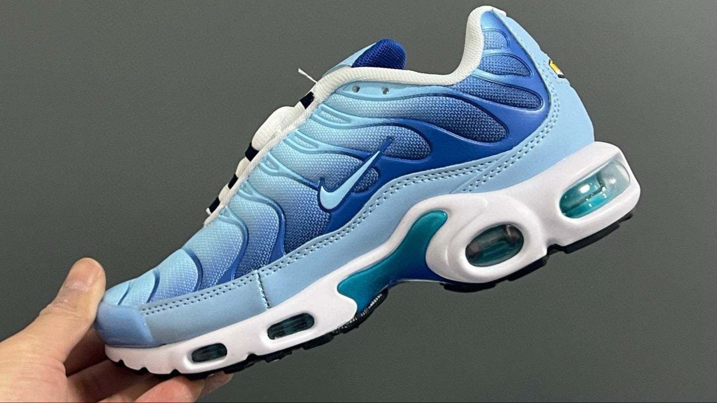 Tn / 12 coloris