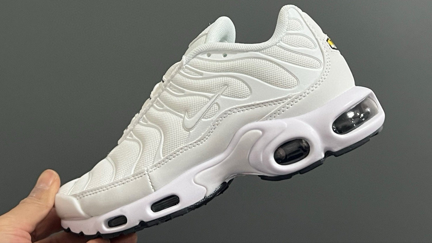 Tn / 12 coloris