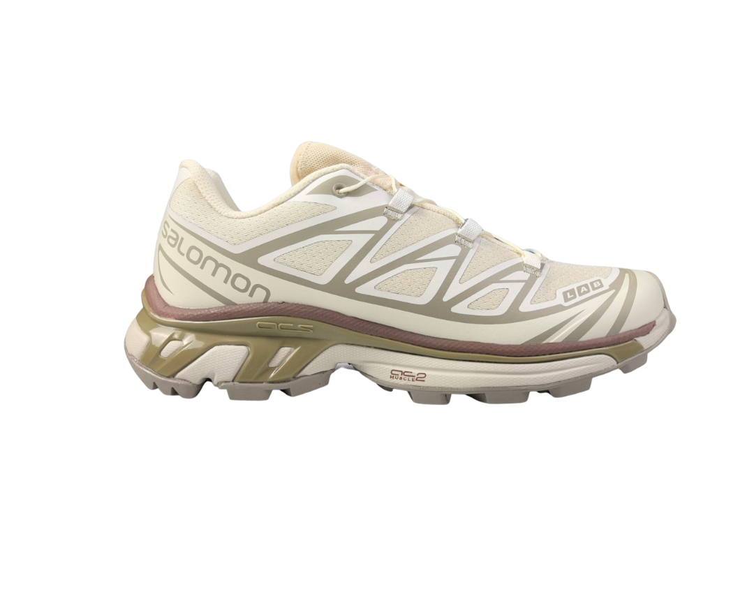 Salomon XT-6 Turtledove