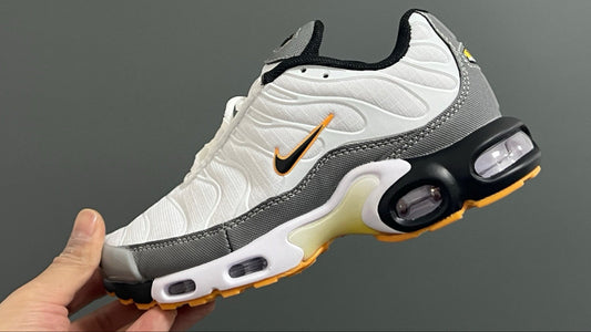 Tn / 12 coloris